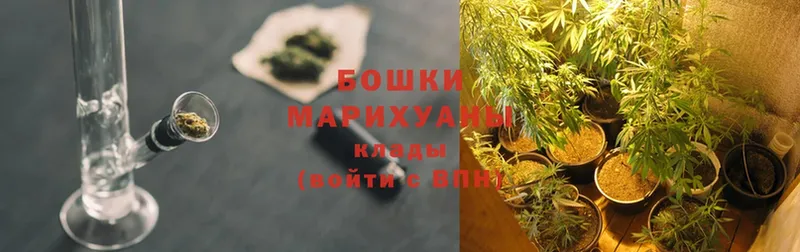 Конопля марихуана  сколько стоит  Белорецк 